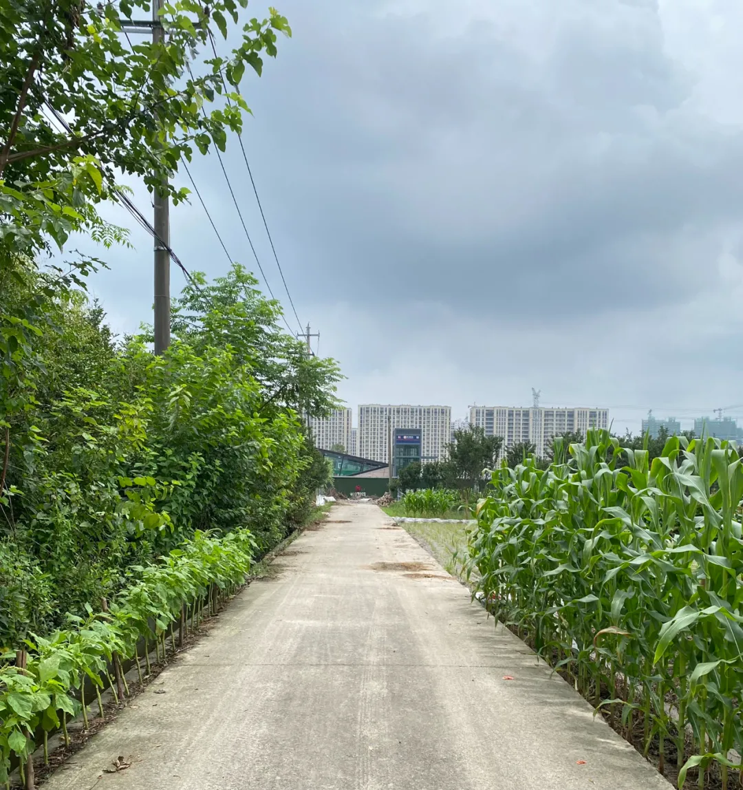 又一批农村自建房变成地铁房!萧内多名网友晒