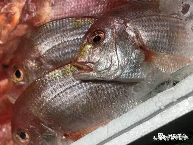 史上最全的顶级“海鱼”海鲜大全,全吃过的你人生就到达了巅峰!