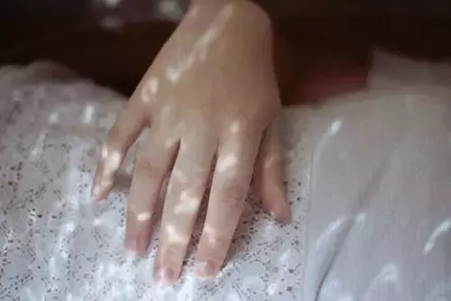 关于理解的优美句子摘抄大全 懂得理解对方的句子图片