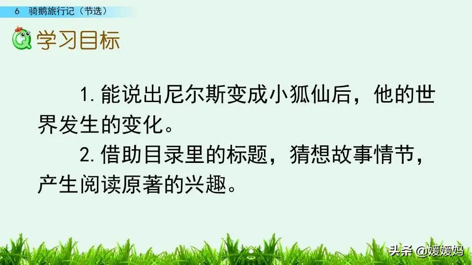 六年级下册语文第6课《骑鹅旅行记(节选)》图文详解及同步练习