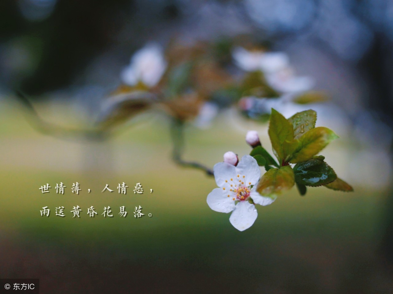 微信朋友圈早安心语，正能量简单的一句话