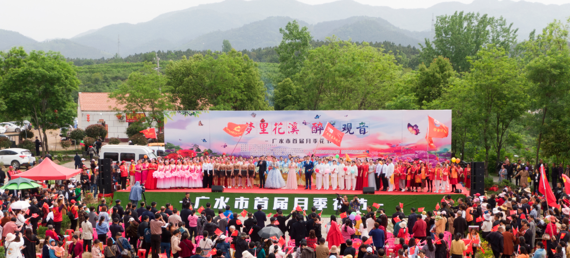 广水月季印人红 吸引游客来打卡