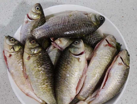 After autumn, I met a fish that I never bargained. I bought it for 5 catties. It was very nutritious and fragrant.