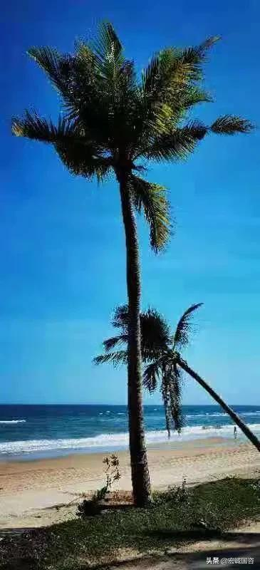 「动态」海浪、沙滩和椰风，这个“六月生日会”很阳光