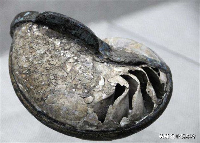 南京出土的“鹦鹉酒杯”,据说“永远喝不完”