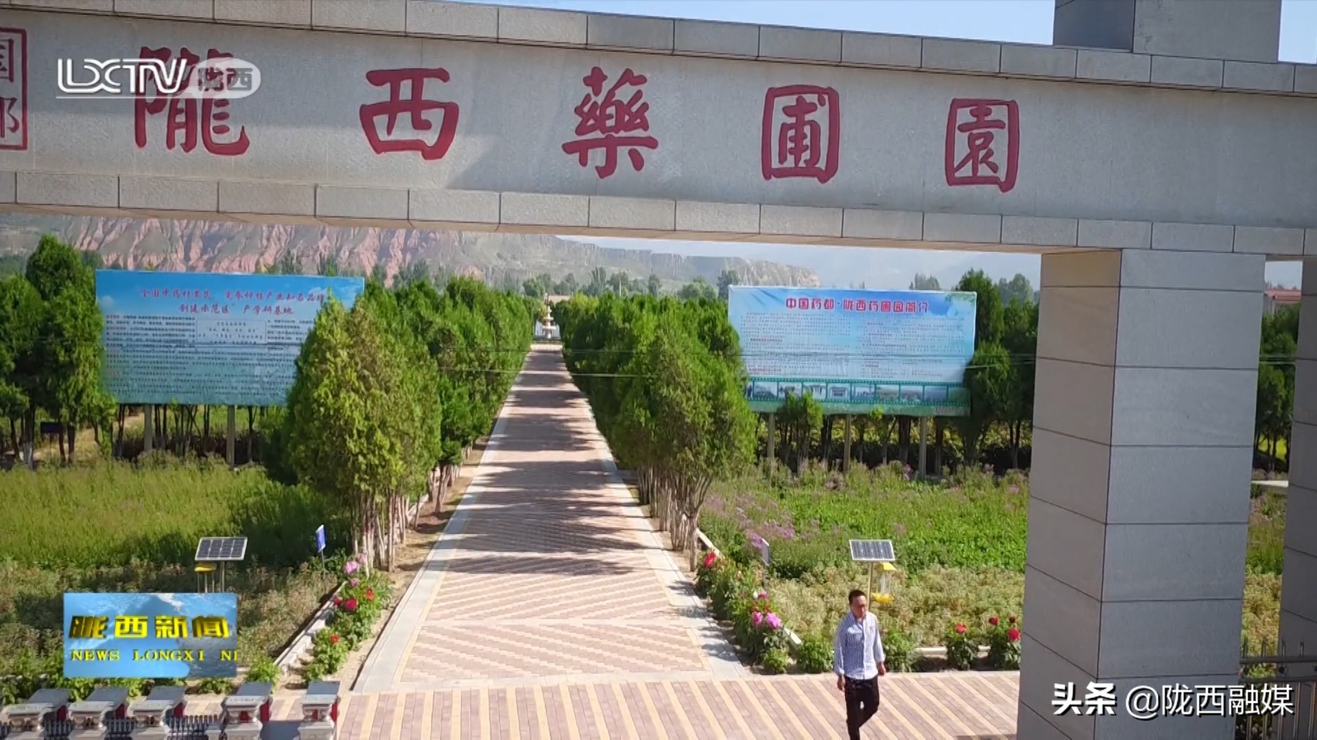「中医药发展看陇西」绿色道地成为陇西中药材产业厚重底色
