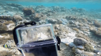 低调恋爱十几年零绯闻，宣布结婚，魏晨简直是娱乐圈的稀有物种