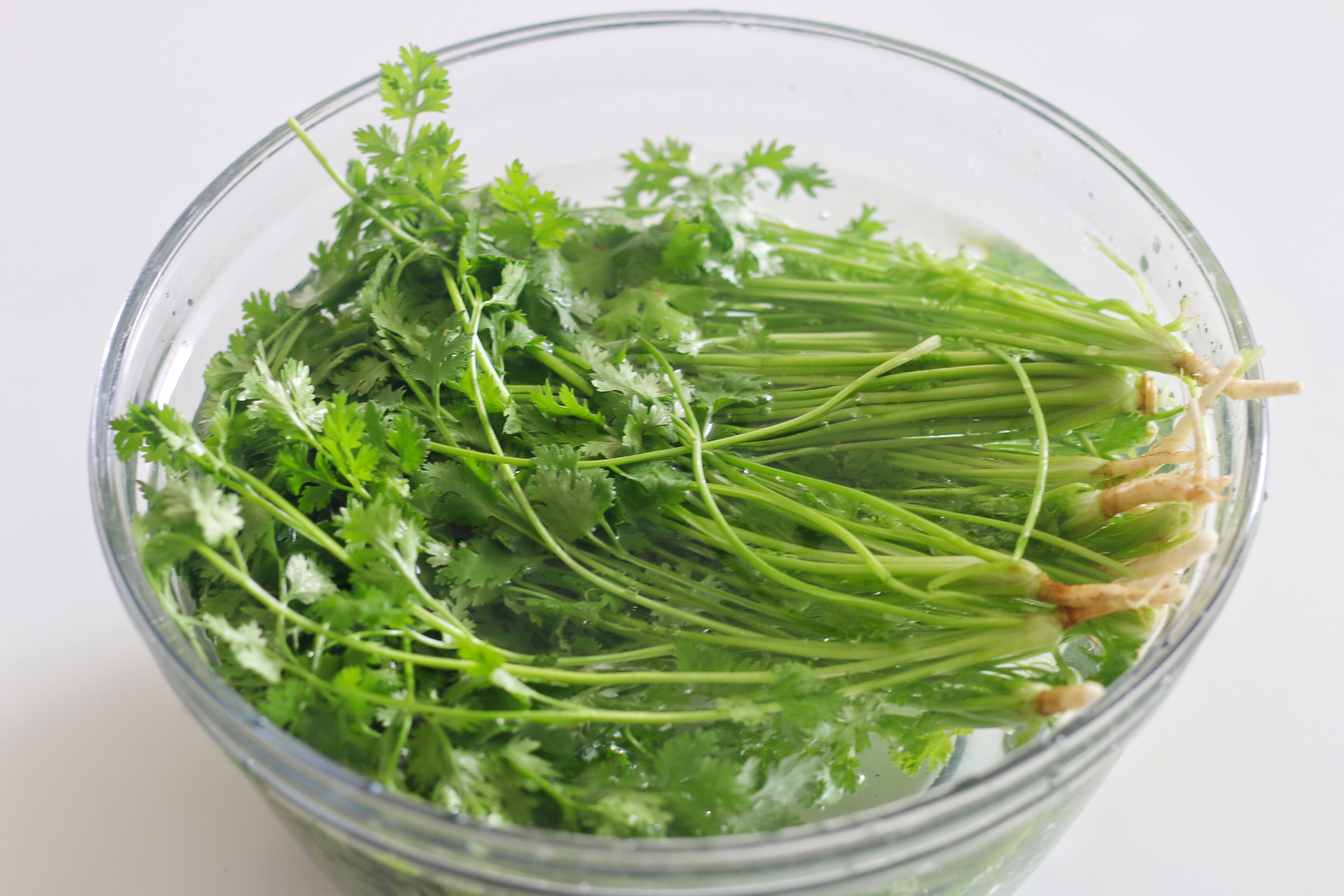 保存香菜，我有妙招，放一年不会坏，什么时候吃都新鲜如初