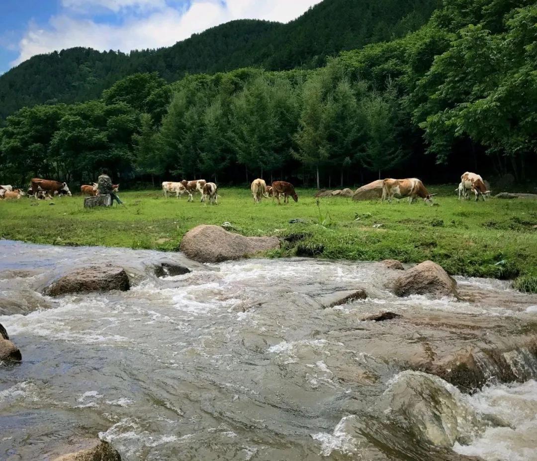 热河山谷是不是国内文旅行业“抄袭”的下一个案例？