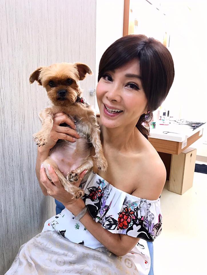 绿过罗志祥，交往7位女神，“又帅又渣”的邱泽