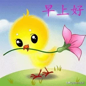 最新简短周未问候语短信 周未早上最暖心的祝福语句大全图片