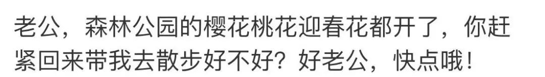 马航MH370失踪七周年：这辈子，爱与不爱都不会相