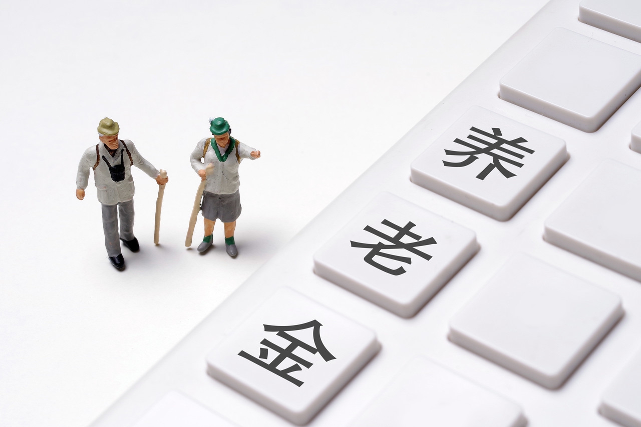 都是自费买养老保险，灵活就业养老和居民养老保险有什么区别？ 第1张