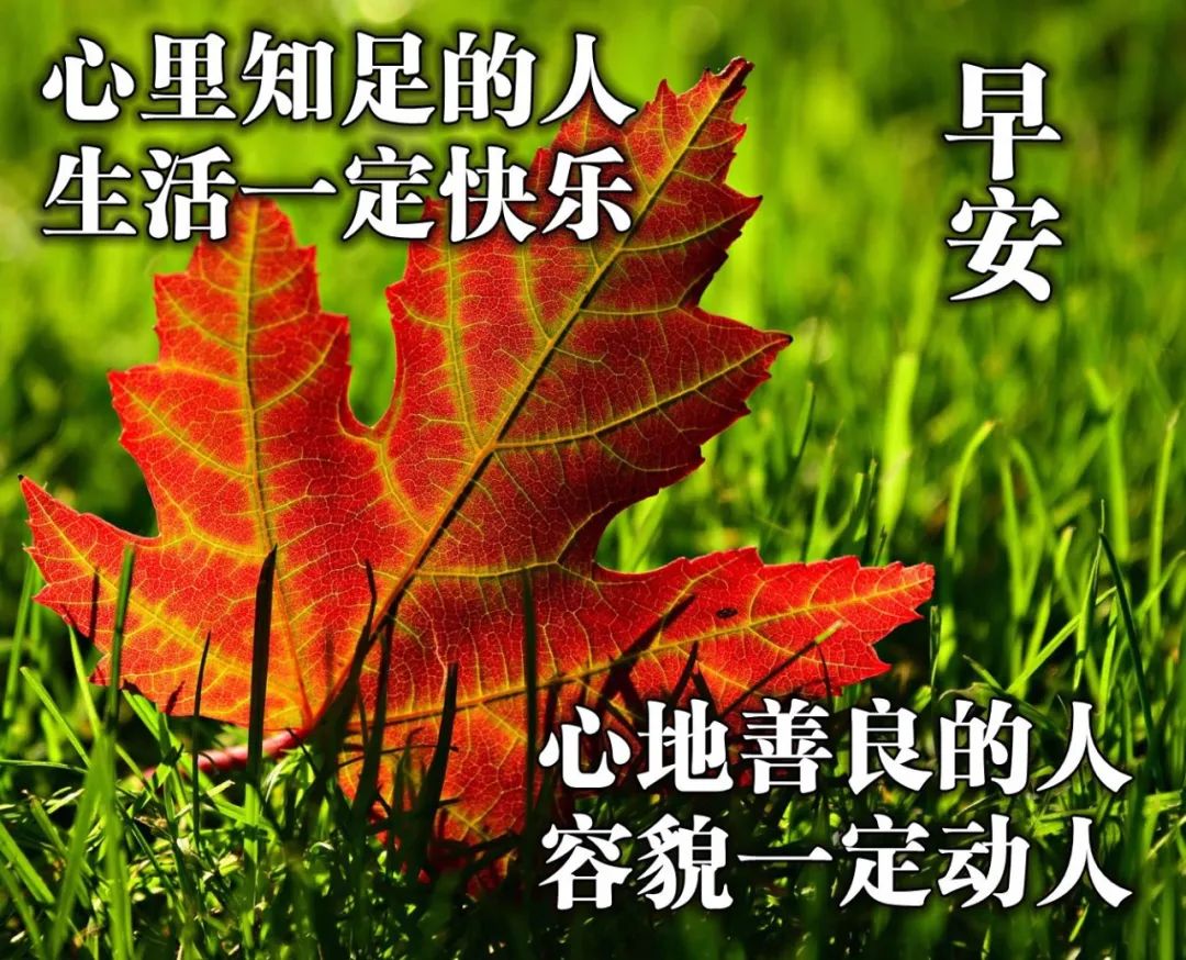 大气又精致的早安说说 唯美早上好图片大全