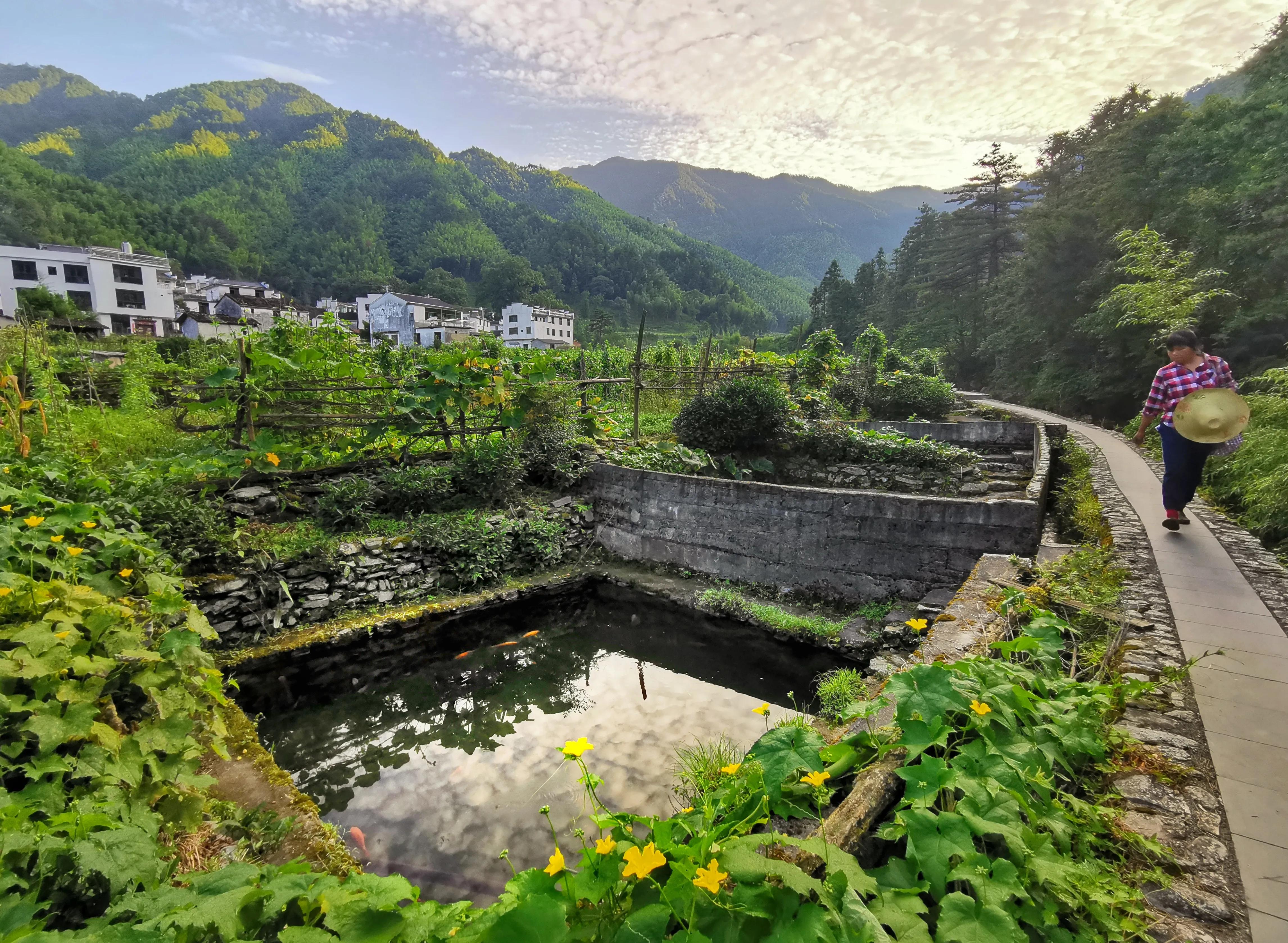 夏天去婺源：920米鄣山村避暑，13公里密林穿越，雨天看卧龙美景
