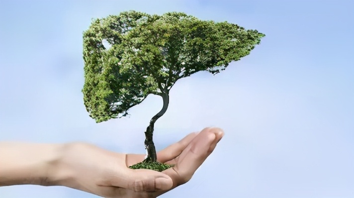 秋冬肝脏很脆弱，这5条养肝秘诀告诉你如何护肝