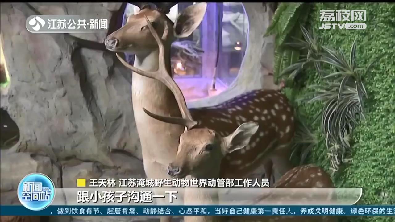 小朋友拔下动物园鹿角标本：给爷爷滋补
