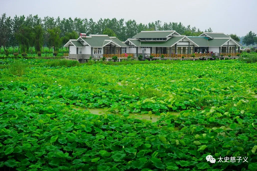 每天一县:江苏省扬州市高邮市