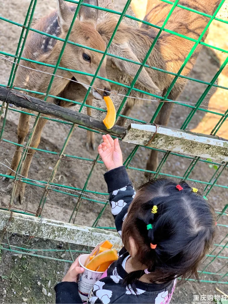 重庆旅游攻略在重庆打卡全世界的最强攻略来了
