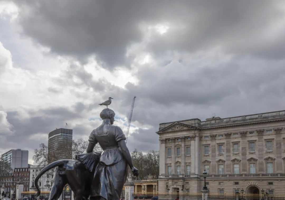 英国王室今年要没钱了？女王把最爱庄园改电影院，子孙卖隐私捞钱