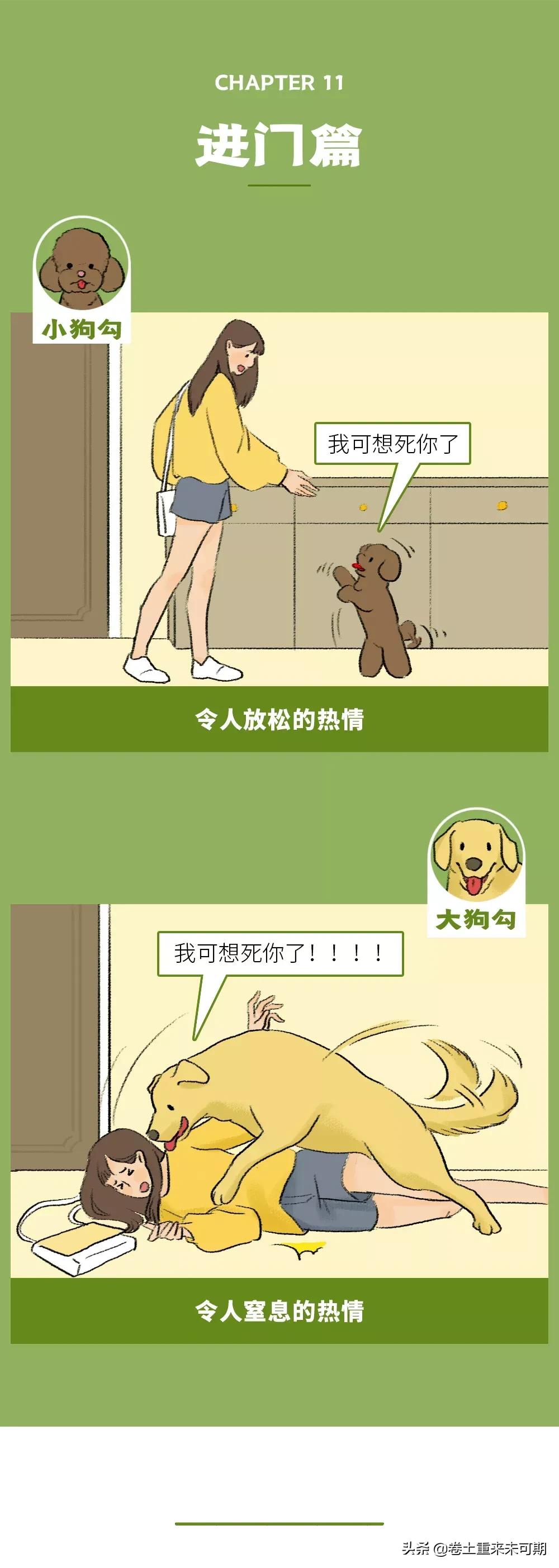 漫画：女生养大狗，对男朋友有什么坏处？