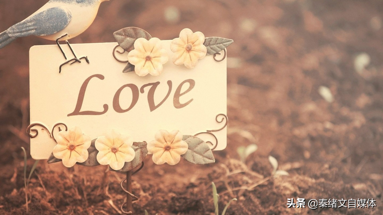 情感短视频从内容到定位的玩法，怎么才能快速实现变现？