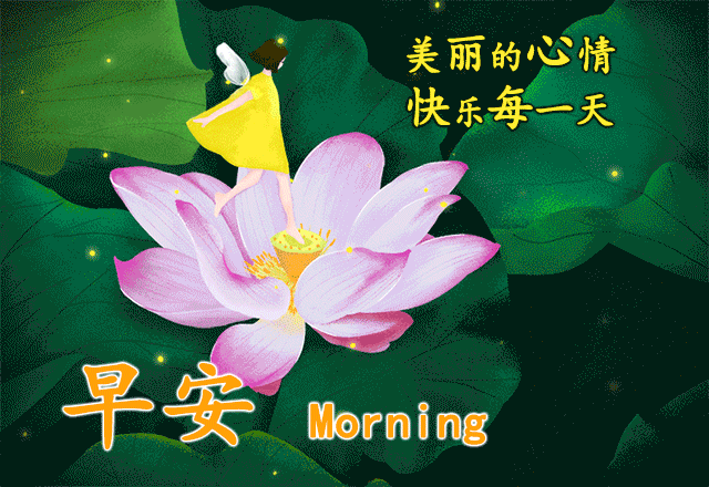 清晨问候早安的简短语句，新的一天早安祝福语精美语句图片