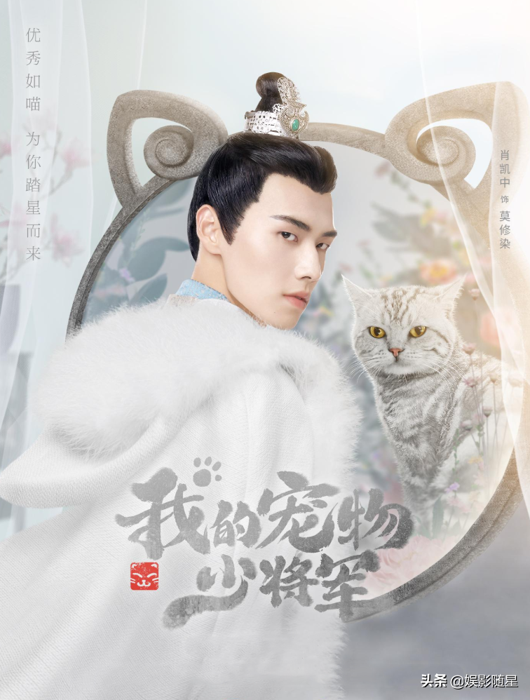 《我的宠物少将军》今晚首播，3大导演联合执导，这阵容堪称无敌