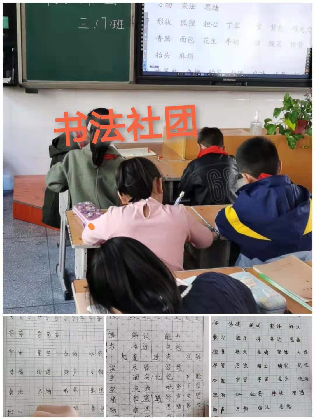 淮滨县实验小学怎么样?四月芳菲未尽(图5)