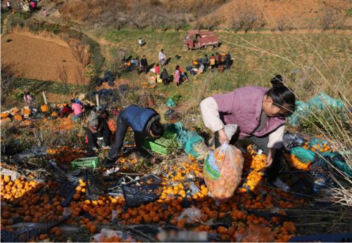 老祖宗谈识人:两腮无肉不可交，脸上横肉为凶者