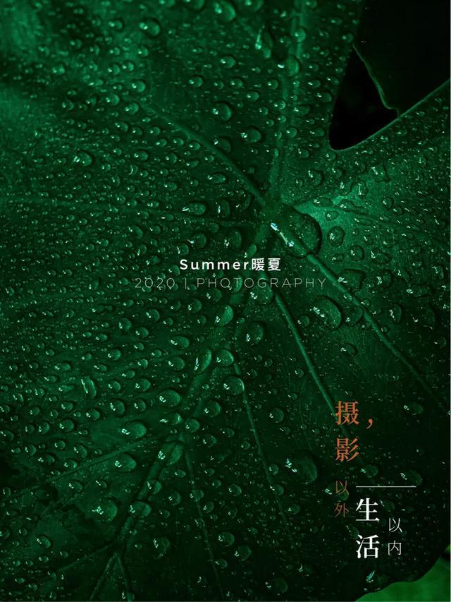 写给即将复工的你:生活远比电影要精彩