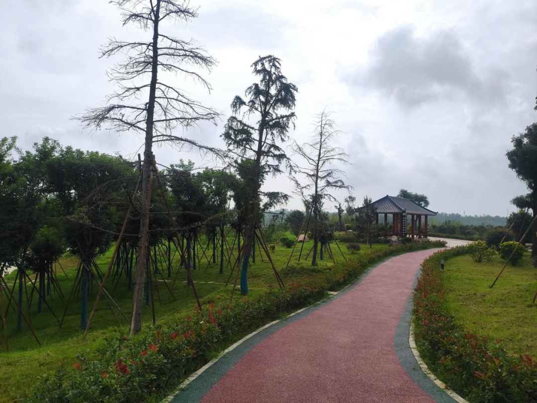 �׽����������Ļ����ν����湥�ԡ��ʺ�����