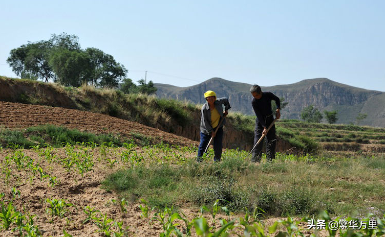 山西省管理了11个地级市，经济总量，为何与成都市相当？