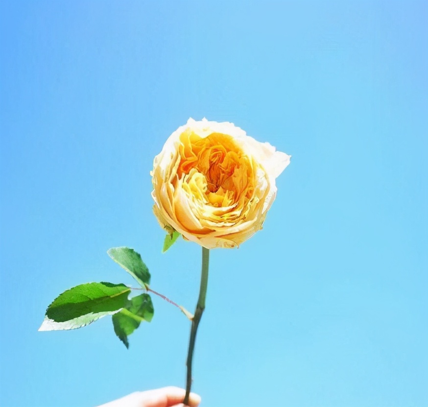 现实透彻的理性句子，充满哲理，魅力非凡-第4张图片-非凡网