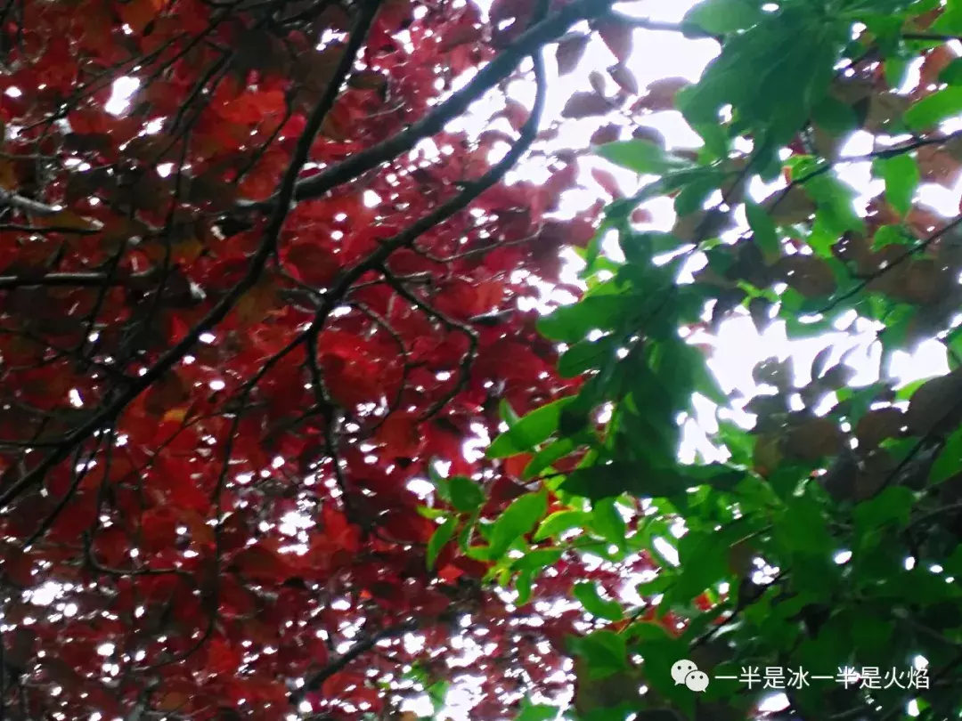 散文诗:走吧,一起去看看秋天-第3张图片-非凡网 散文诗:走吧,一起去看看秋天-第3张图片-非凡网