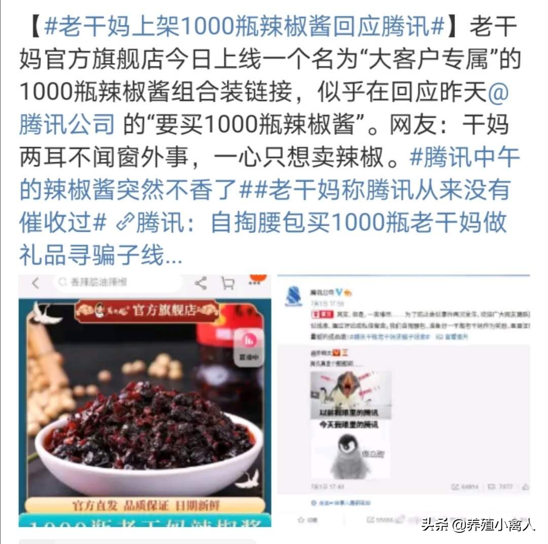 可怜深圳美女损失1600万元，结果还被农村大妈反