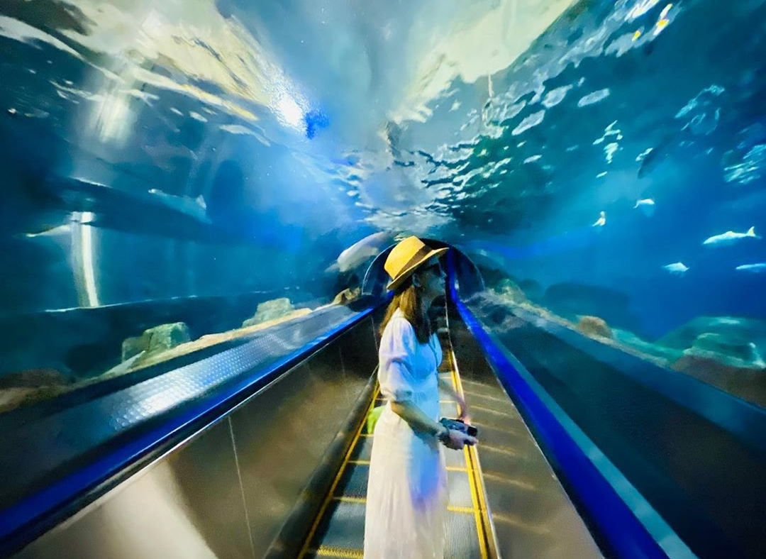 昆凌牵一双儿女看奶牛，弟弟身高快赶上姐姐，一家人穿扮超时髦