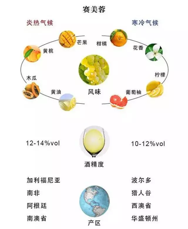 全世界最流行的24大葡萄品种，3分钟看完就算入门了