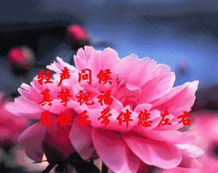 周五幽默问候语及关心话 周五心情的幽默句子图片