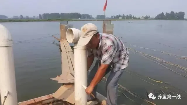 池塘底排污:排除废水,改良底质,净化水体,水好鱼才好