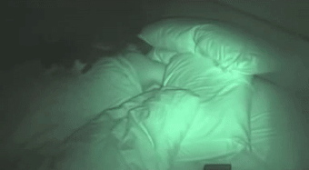 女孩睡著後被貓打了4個小時，但小貓咪可能沒什麽壞心思