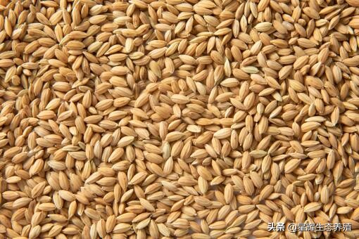 2021年水稻最低收购价具体是多少？附2021年稻谷最低收购价政策