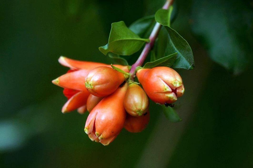 写给奔六的60后：人到老年，宁可孤独，也别轻谈感情，要警惕