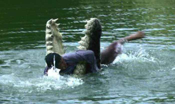 问世间谁的牙齿最牛逼？盘点动物界的那些奇异的牙齿