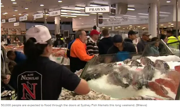 澳鱼市早6点大排长龙，5万人团团围住抢购，龙虾扇贝海鲜大减价