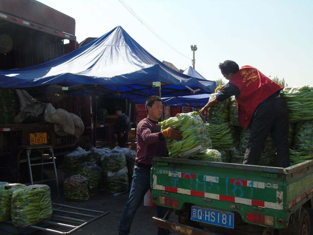 忍痛扔菜、2000人被隔离！看疫情暴风眼中的滞留