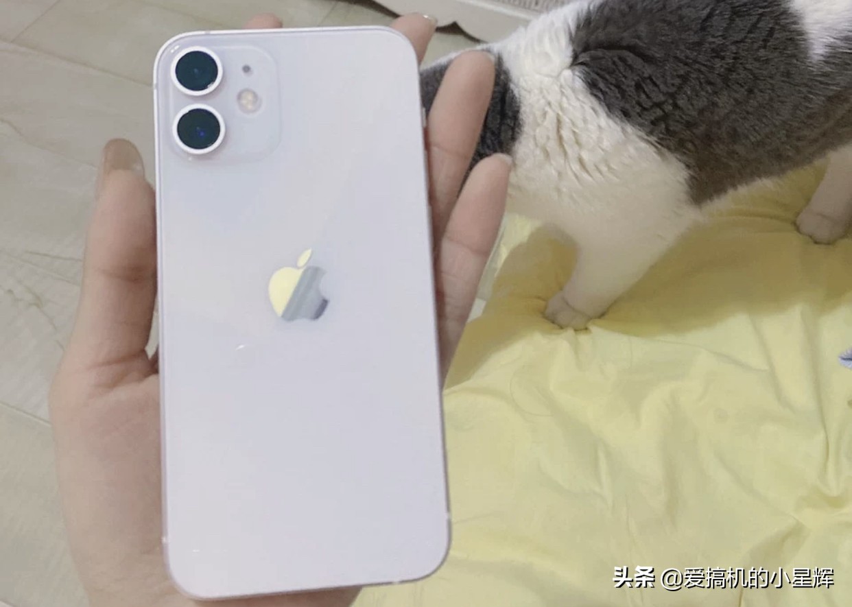 iPhone12Mini跌至“新低”，A14芯片+128GB