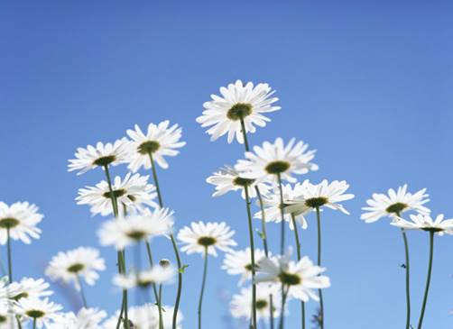 陌嗨短视频，运用好俯拍，拍摄出别人达不到的效果