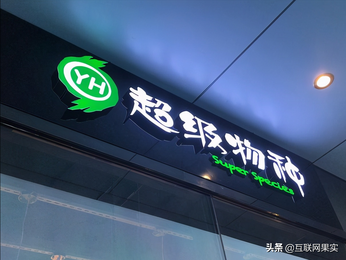 永辉：中国超市黑马，一年扩张205家分店，击败沃尔玛成功逆袭