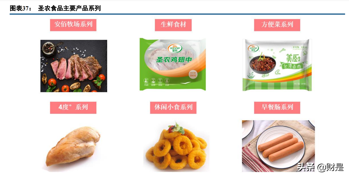 圣农发展专题报告：平滑养殖周期影响，食品业务打造增长新引擎